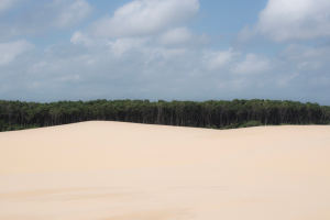 Cores do Brasil