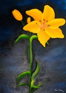Flores do Meu Jardim I
