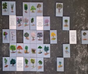Natureza Urbana
