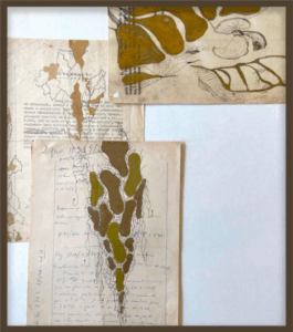 Orquídea, série Entre linhas