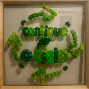 Green Reciclagem