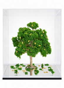 Você colhe o que planta
